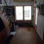 Dora تكس